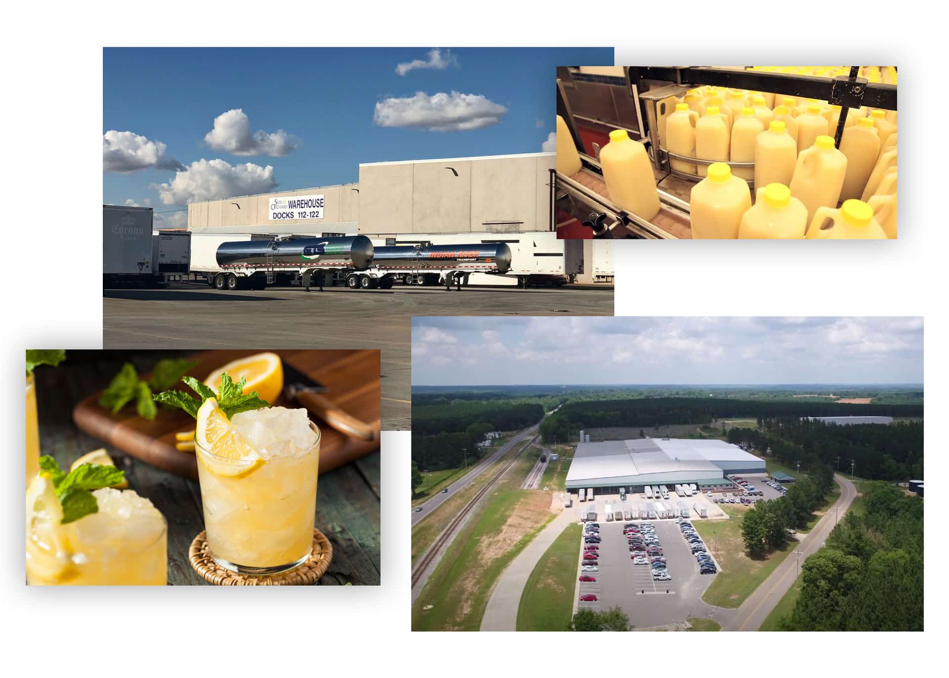 our company