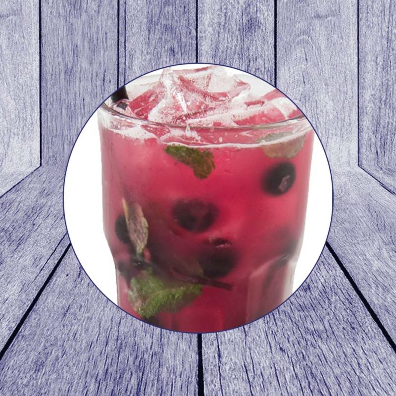 Blueberry and Lemon Mint Soda